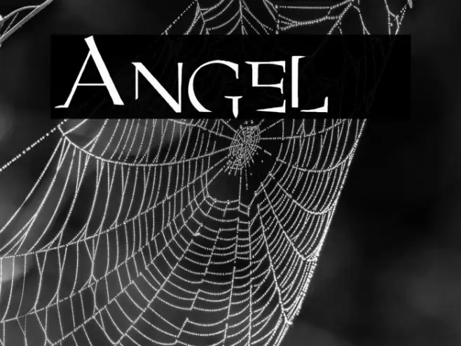 Angel 1 Font examples