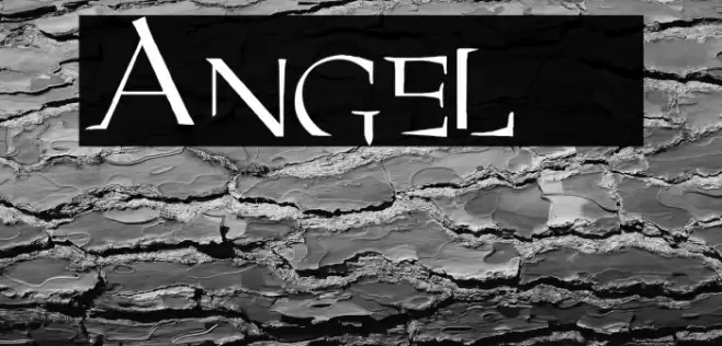Angel 1 Font examples