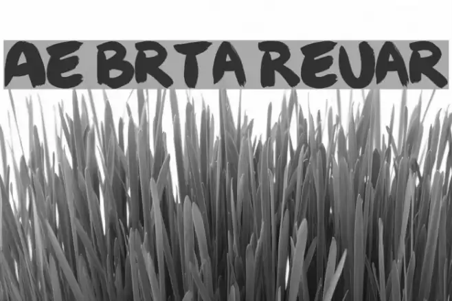 Angel Brotxa Regular Font examples