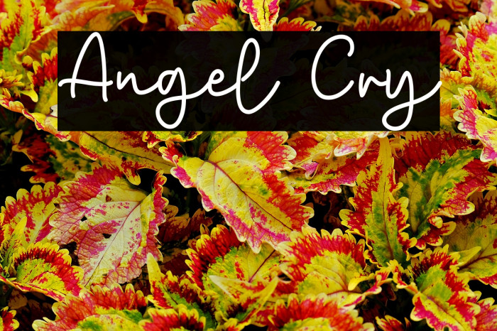 Angel Cry Example 1