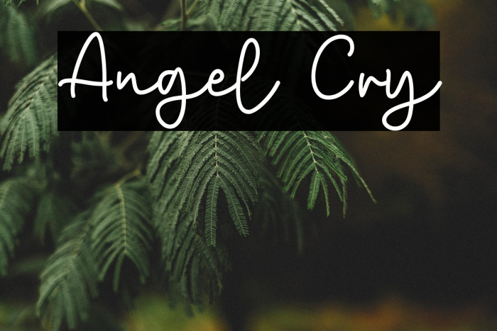 Angel Cry Example 3