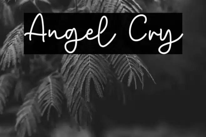 Angel Cry Font examples