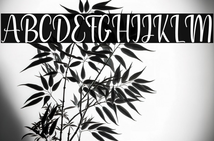 Angel Dancing Example 3