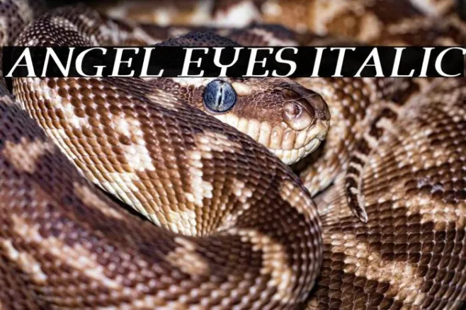 Angel Eyes Italic Example 2