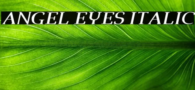 Angel Eyes Italic Example 3