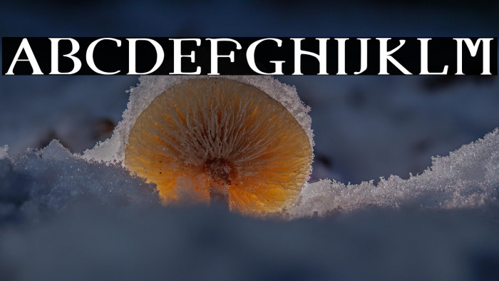 Angel Eyes Example 1