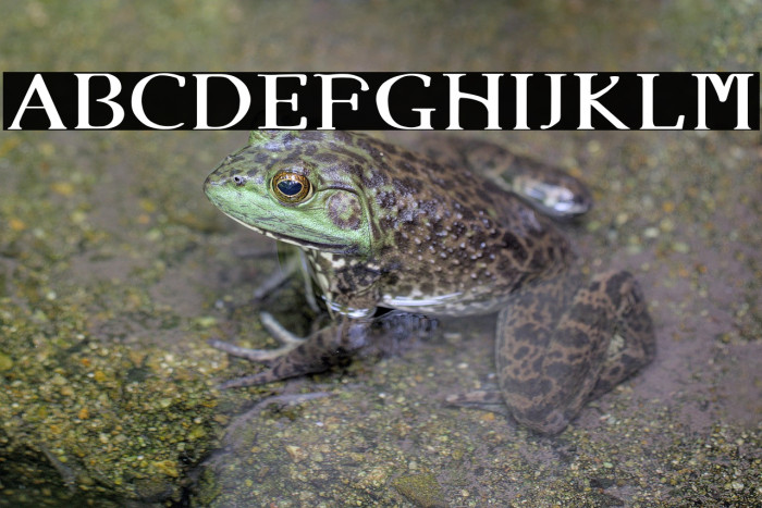 Angel Eyes Example 3