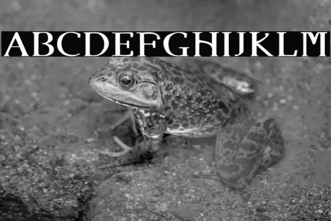 Angel Eyes Font examples