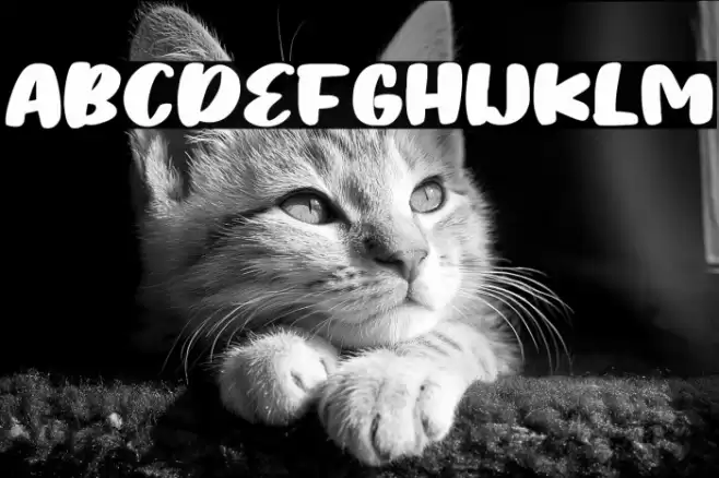 Angel Foods Fonte examples