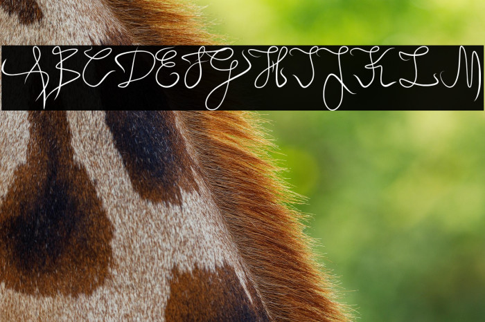 Angel Light Example 1