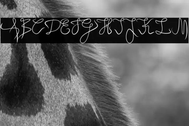 Angel Light Font examples