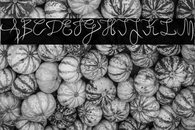 Angel Light Font examples