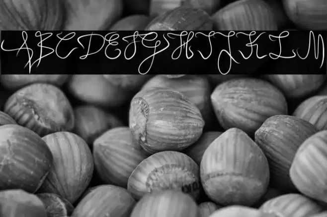 Angel Light Font examples