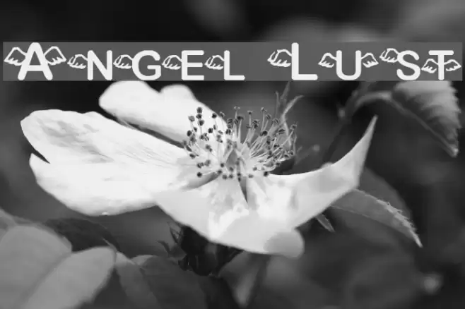 Angel Lust Font examples
