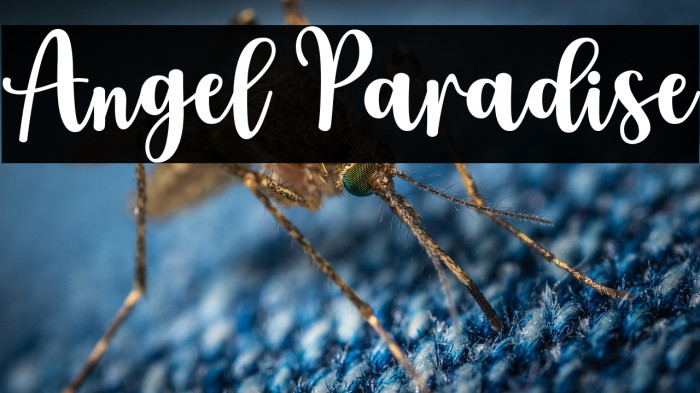 Angel Paradise Example 1