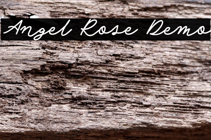 Angel Rose Demo Fonte examples