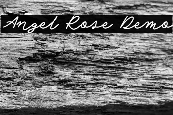 Angel Rose Demo خط examples