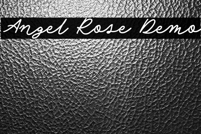 Angel Rose Demo Fonte examples