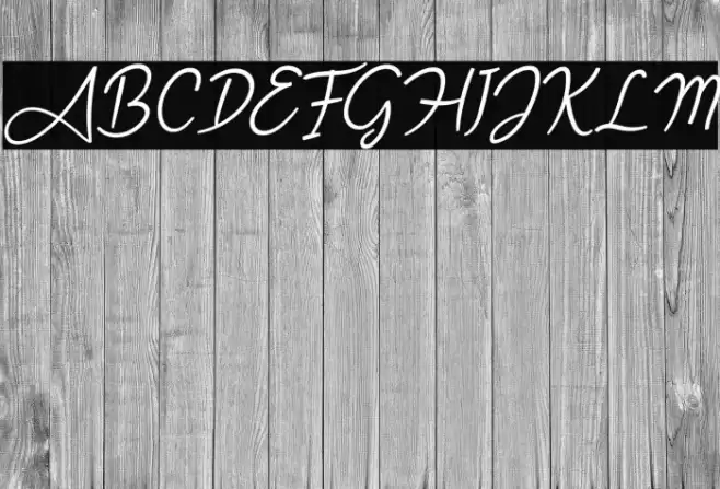 Angel Signature Italic Font examples