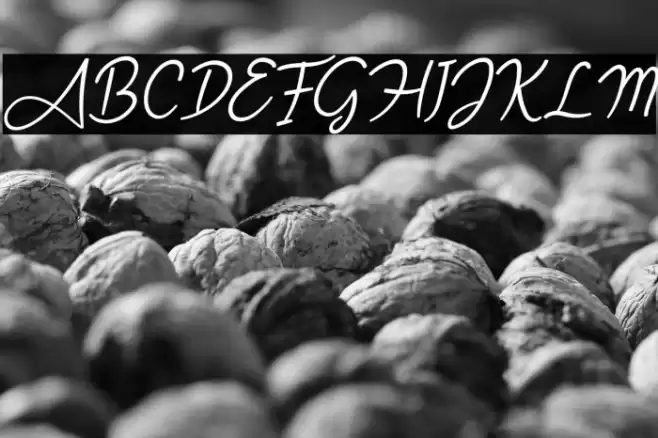 Angel Signature Italic Font examples