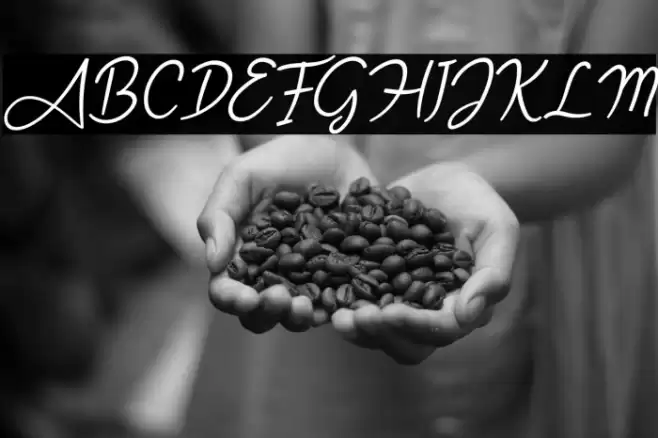 Angel Signature Italic Font examples