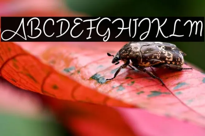 Angel Signature Example 2