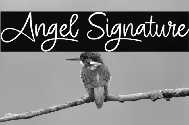 Angel Signature Font examples