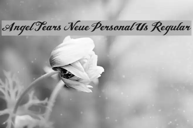 Angel Tears Neue Personal Us Regular Font examples