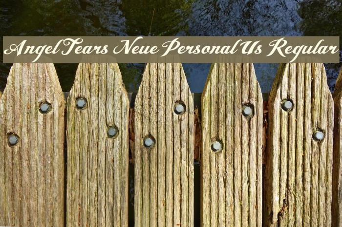 Angel Tears Neue Personal Us Regular Font examples