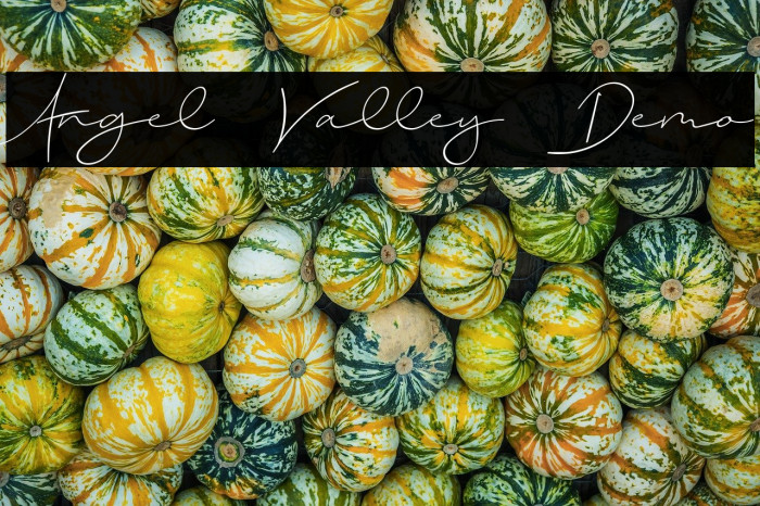 Angel Valley Demo Example 2