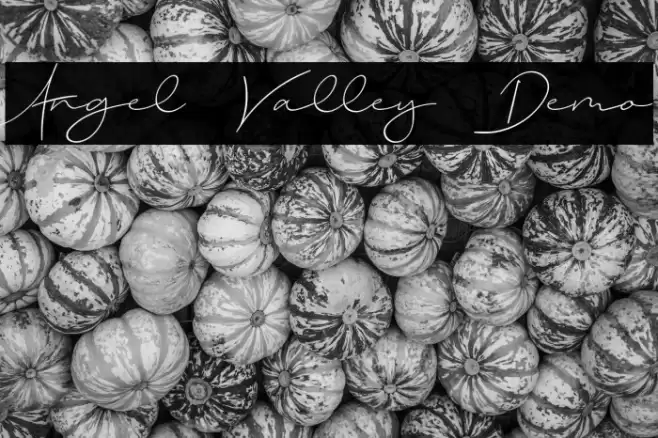 Angel Valley Demo Font examples