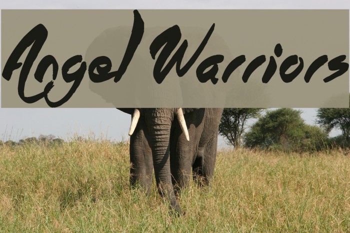 Angel Warriors Example 3