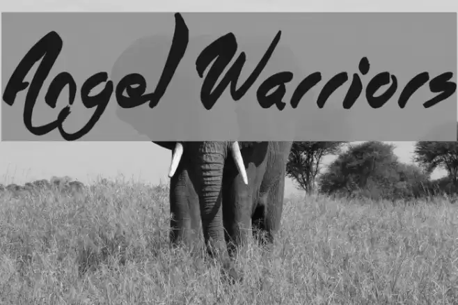 Angel Warriors Font examples