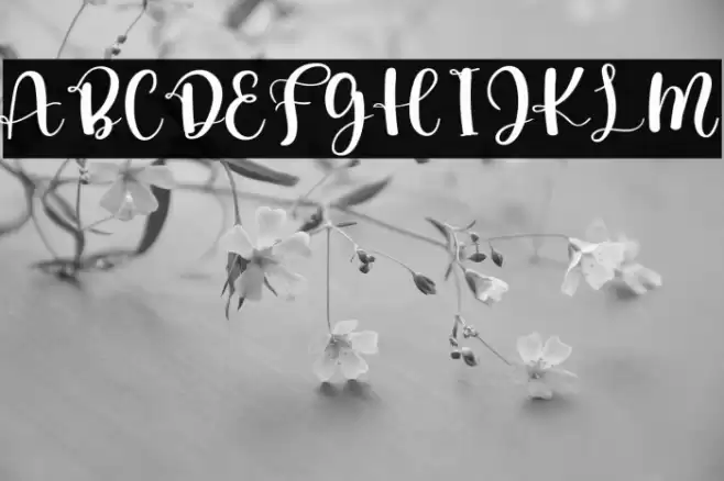 Angel Wedding Font examples