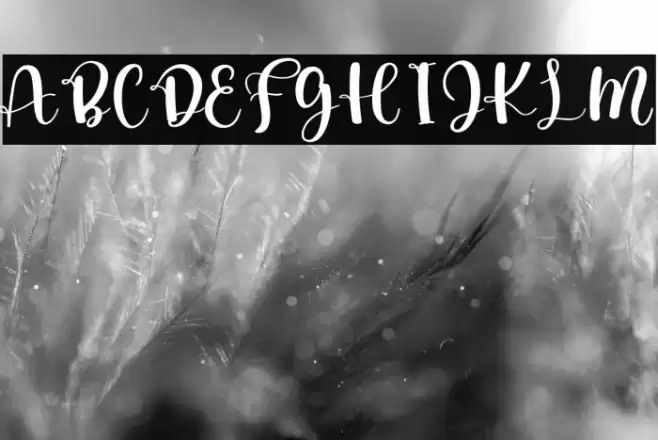 Angel Wedding Font examples