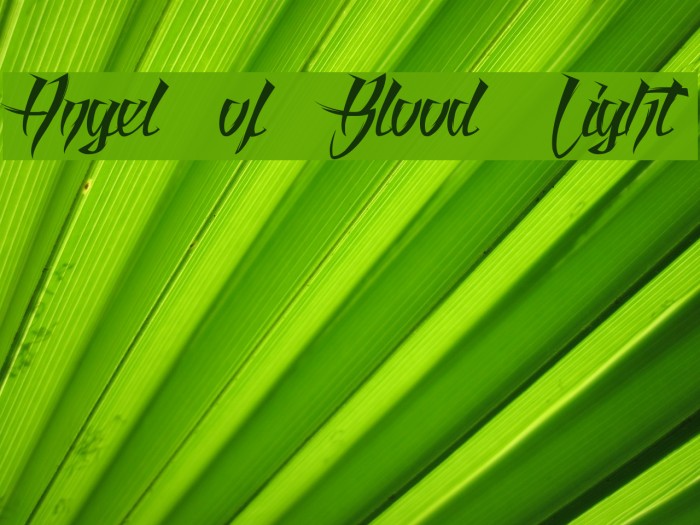 Angel of Blood Light Font examples