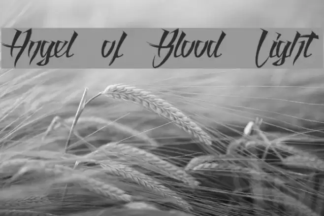 Angel of Blood Light Font examples