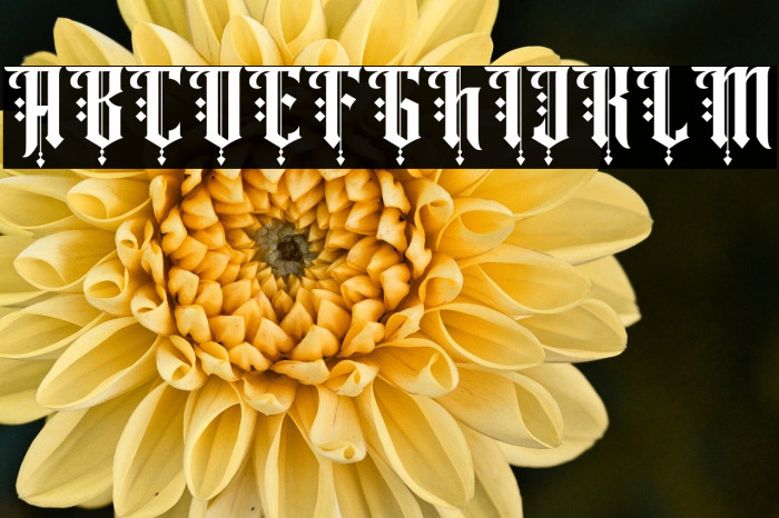 Angel rhapsody Regular Example 2