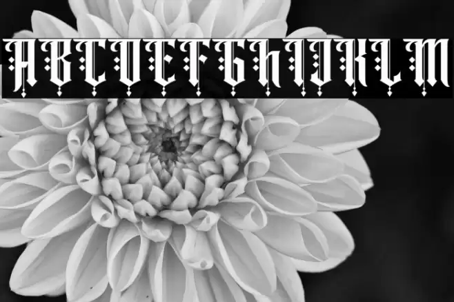 Angel rhapsody Regular Font examples