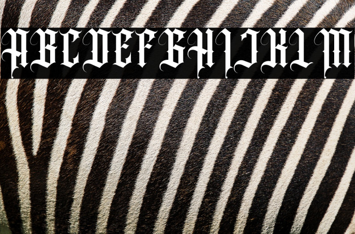 Angel wish Regular Example 1