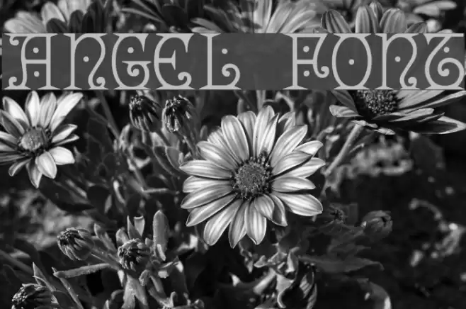 Angel Font examples