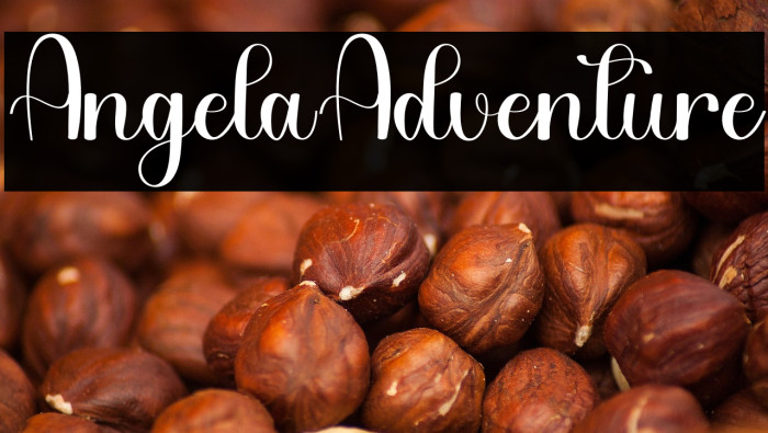 Angela Adventure Example 1