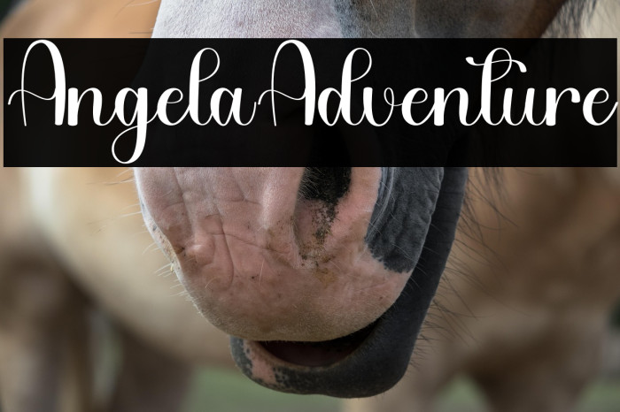 Angela Adventure Example 2