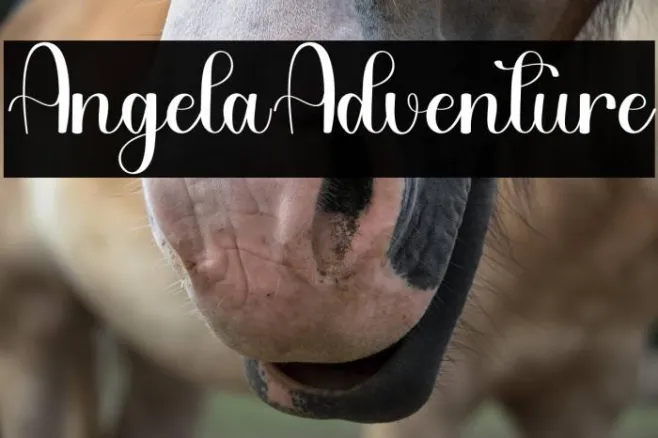 Angela Adventure Example 2