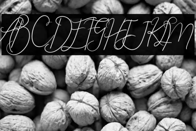 Angela Font examples