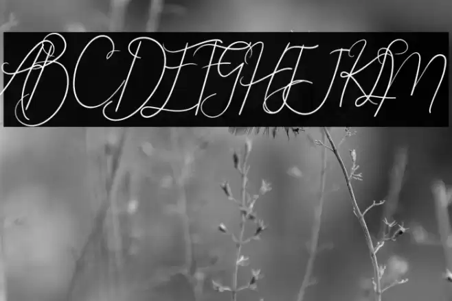 Angela Font examples