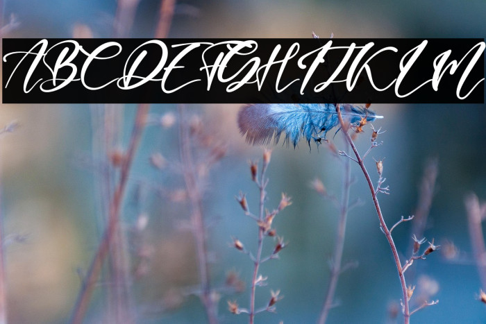 AngelaBerdantte Example 1