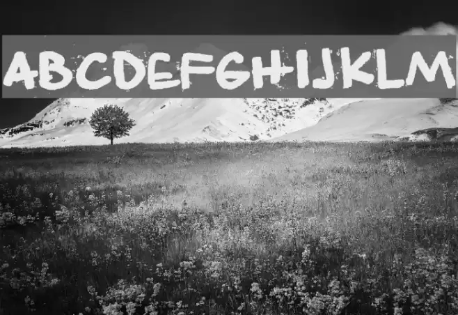 Angeleobardo Font examples