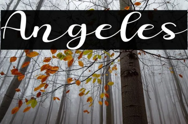 Angeles Example 2