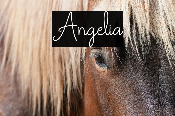 Angelia Example 1